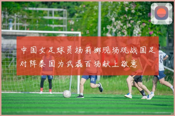 中国女足球员杨莉娜现场观战国足对阵泰国为武磊百场献上敬意